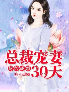 契约成婚,总裁宠妻30天