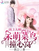 《杠上大神:呆萌菜鸟撞心窝》