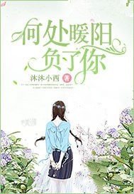 何处暖阳负了你