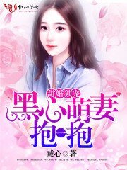 《甜婚独宠:黑心萌妻,抱一抱》