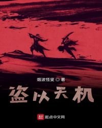 《盗济天机》