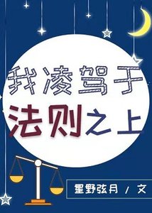 《我,法则贼多》
