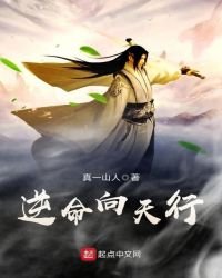 《逆命向天行》