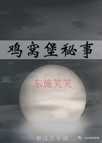 《鸡窝堡秘事》