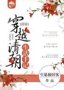 穿越清朝生活手记(清穿)