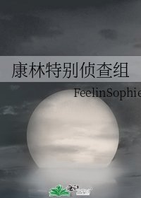 康林特别侦查组