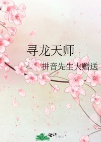寻龙天师