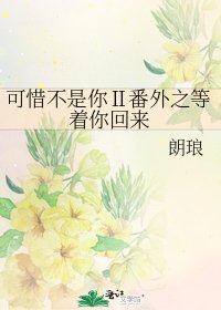 可惜不是你Ⅱ番外之等着你回来