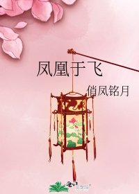 《凤凰于飞》