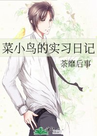 菜小鸟的实习日记