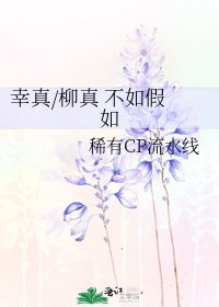 幸真/柳真 不如假如