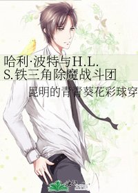 哈利·波特与H.L.S.铁三角除魔战斗团