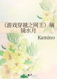 (游戏穿越之网王)璃镜水月