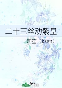二十三丝动紫皇