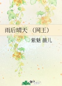雨后晴天 (网王)
