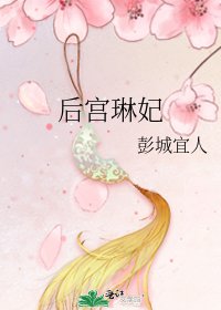 《后宫琳妃》