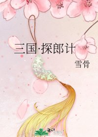 三国·探郎计