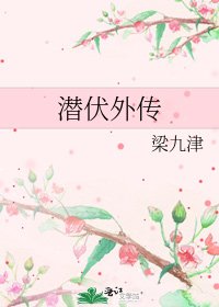 潜伏外传