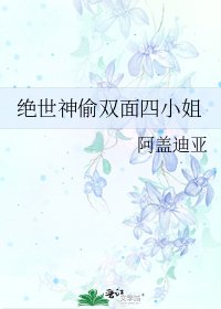 绝世神偷双面四小姐