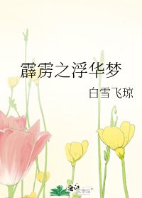 (霹雳同人)霹雳之浮华梦