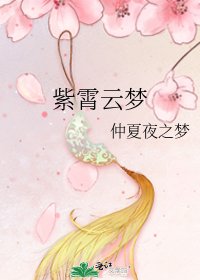 《紫霄雲夢》