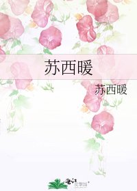 《苏西暖》