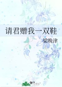 请君赠我一双鞋