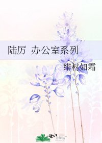 陆厉 办公室系列