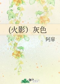 (火影)灰色
