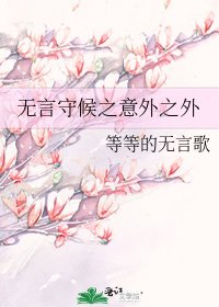 无言守候之意外之外