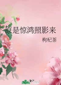 原是惊鸿照影来