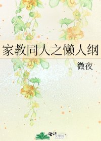 家教同人之懒人纲