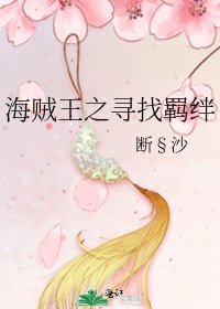 海贼王之寻找羁绊
