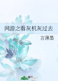 《网游之看灰机灰过去》