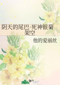 阴天的尾巴·死神银菊架空