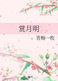 赏月明