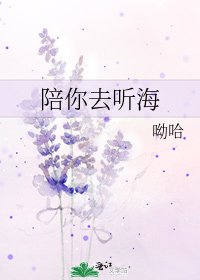 陪你去听海
