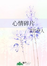 心情碎片