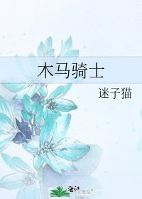 木马骑士