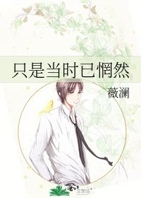 只是当时已惘然