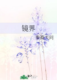 镜界