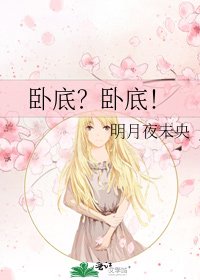 《卧底?卧底!》