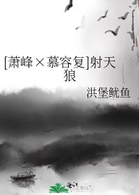 （综武侠同人）[萧峰×慕容复]射天狼
