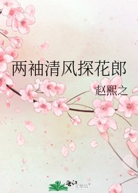 两袖清风探花郎