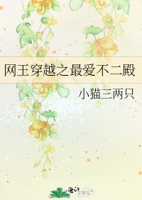 《网王穿越之最爱不二殿》