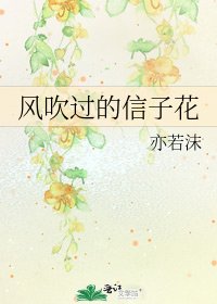 风吹过的信子花
