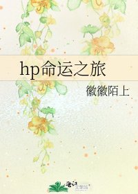 hp命运之旅
