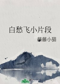 白愁飞小片段
