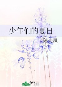 《少年们的夏日》