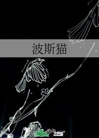 波斯猫